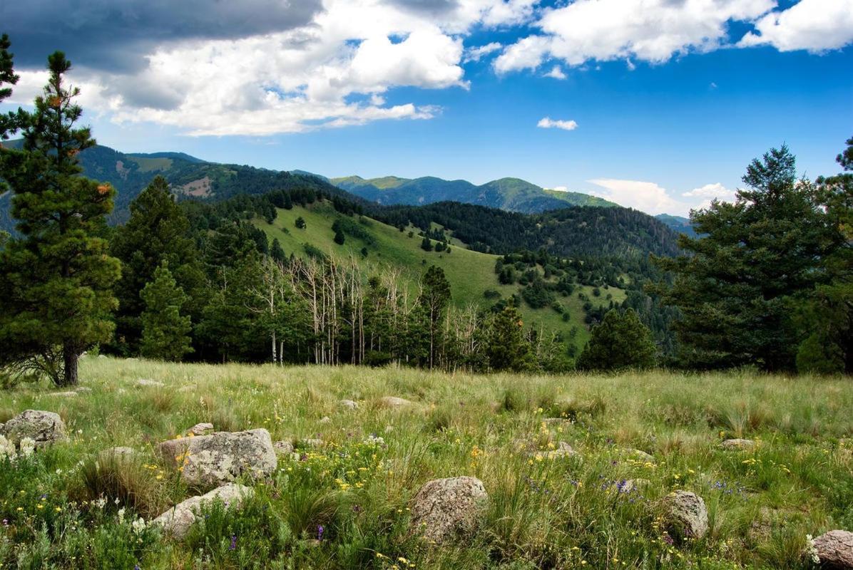 Windchaser, 1 Bedroom, Wood Burning Stove, Midtown, Sleeps 3 Ruidoso Εξωτερικό φωτογραφία